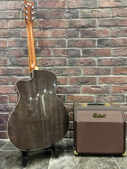Электроакустика Cort EQ + Акустический Комбик 15 ват (комплект) - изображение 2